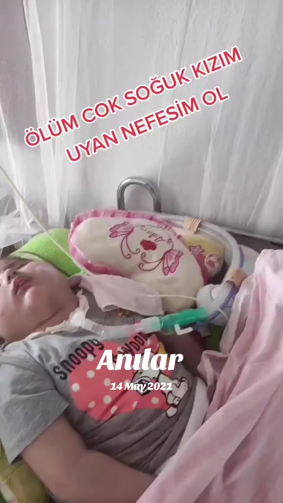 @sevgi.kaan