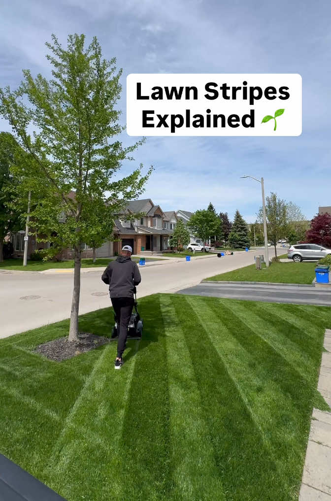@Ken Long | Home DIY Expert