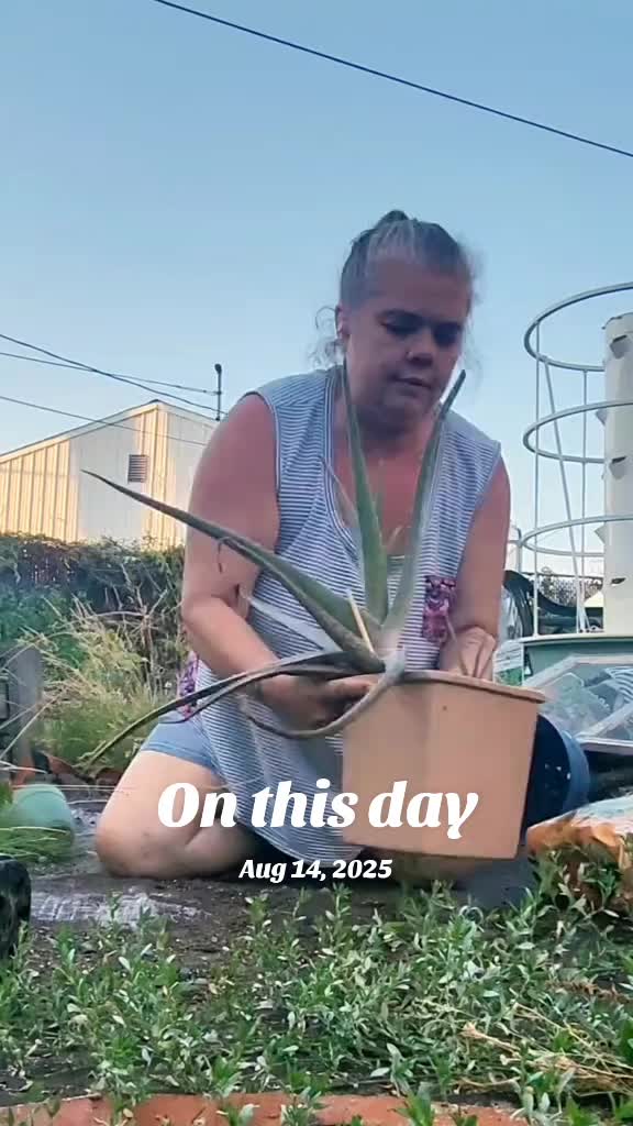 @tinahartart ๐๏ธ๐บ๐ธ๐๏ธ