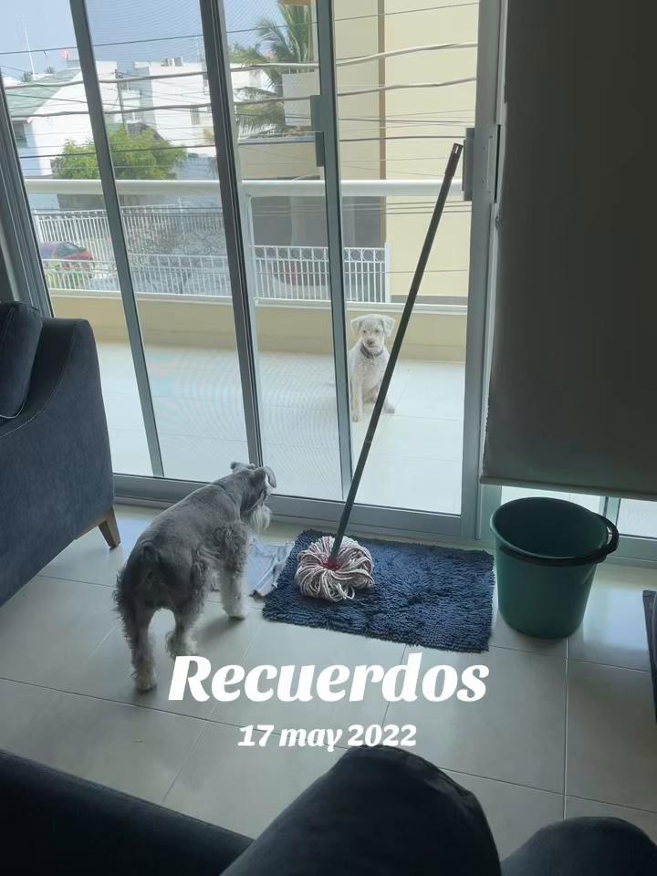 @Elisa Huitrón Rivera