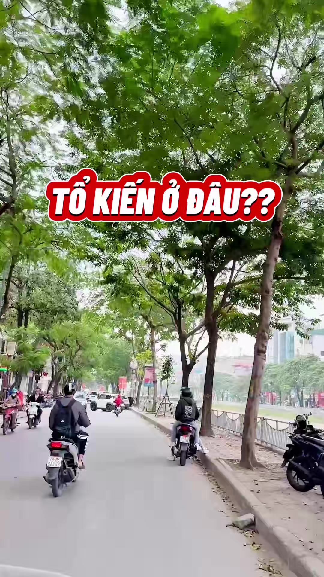 @LINH TỔ KIẾN 💋