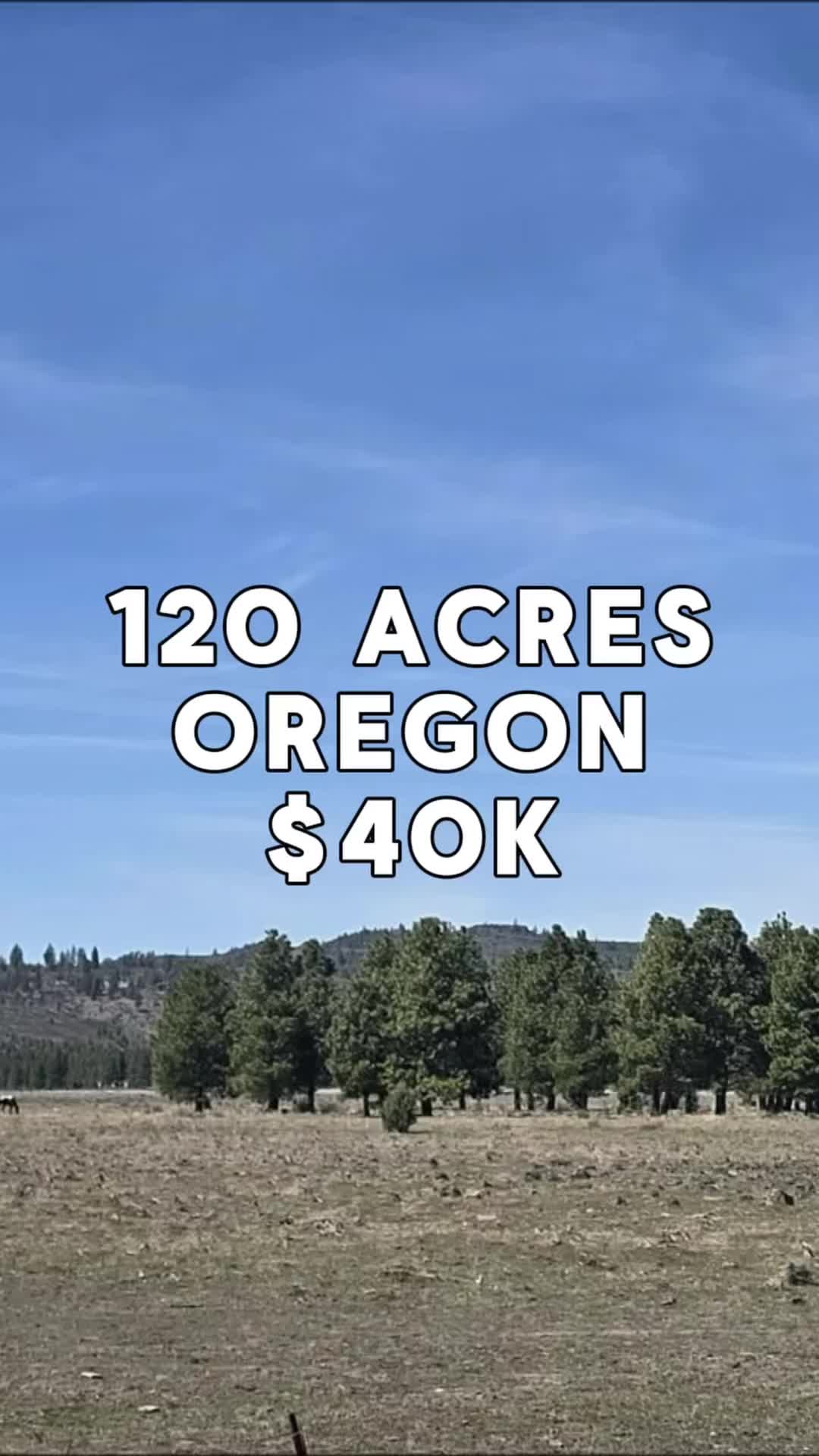 @LandCentury