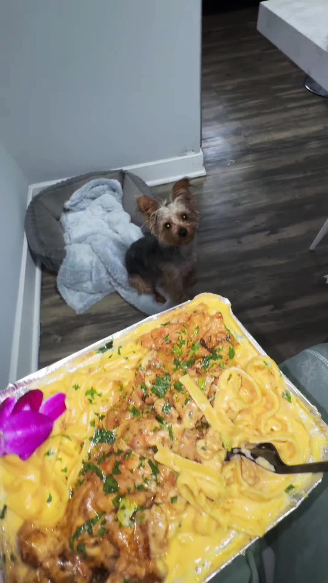 @asteviee._.