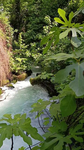 @🌸Ulaş _gelini_58🌸