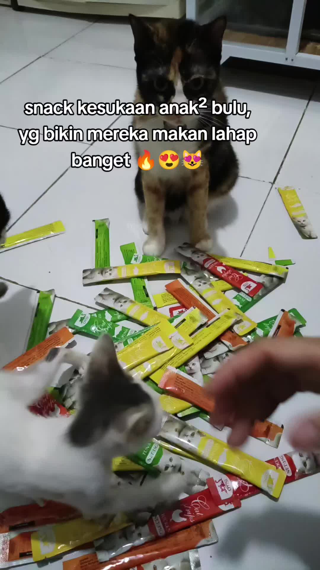 @Marhayati Arsyad