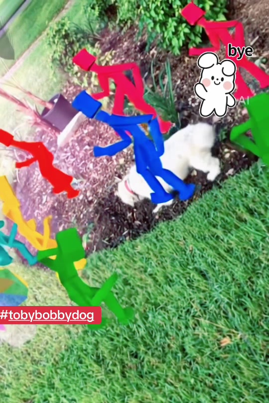 @Tobybobbydog