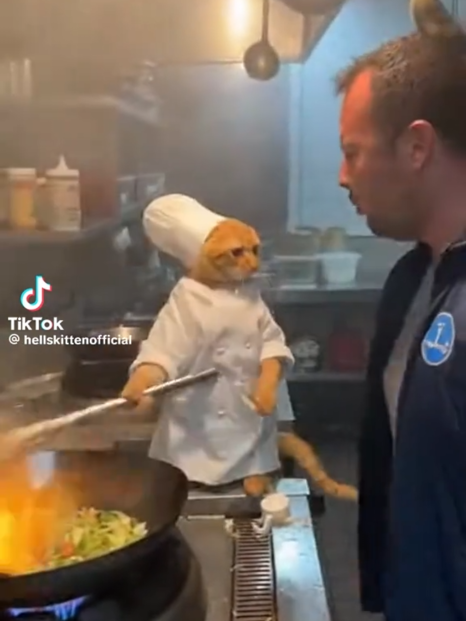 @Funny Video Reels