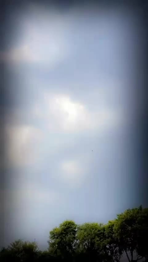 @Bilawal Ali