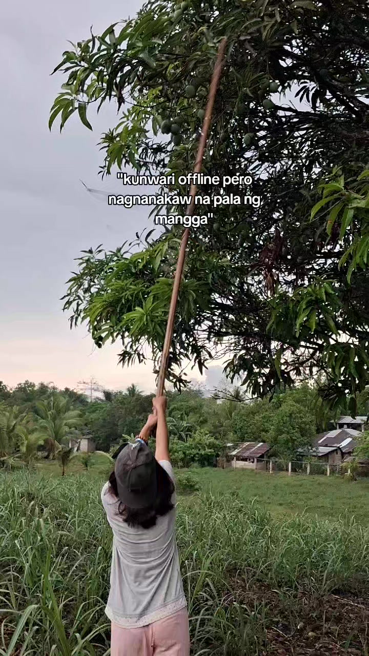 @dyoswa🐸