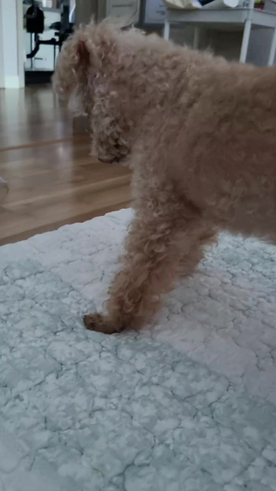 @ㄱ포항김개똥