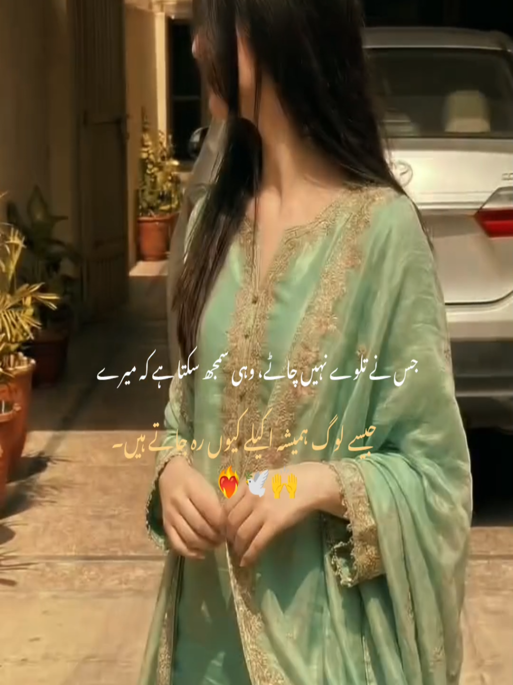 @🕊