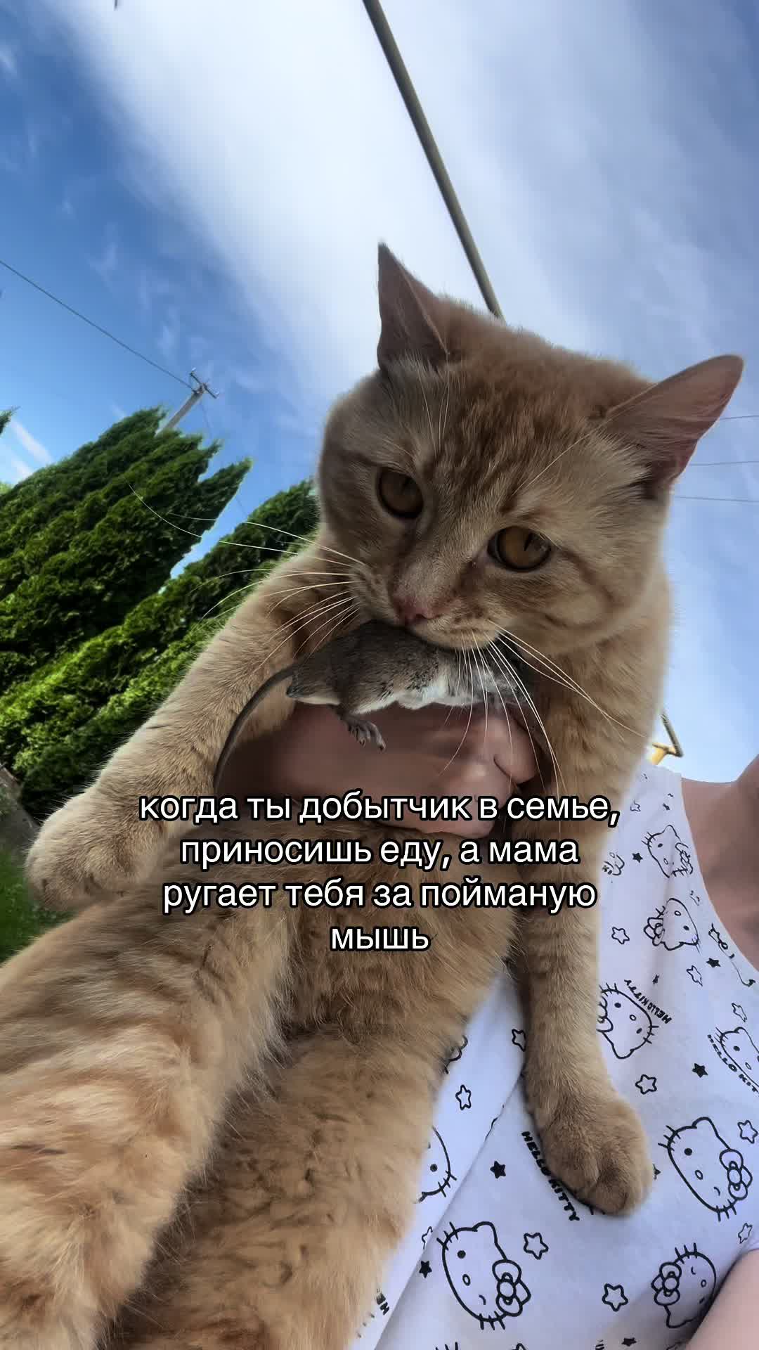 @Anastasiia