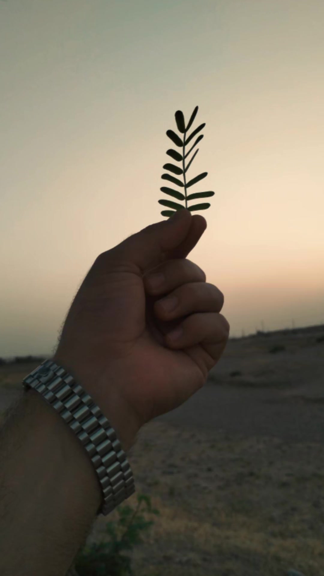 @🍂 حسان🍁