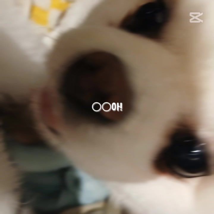 @๐ํฐ์๋ผ๐