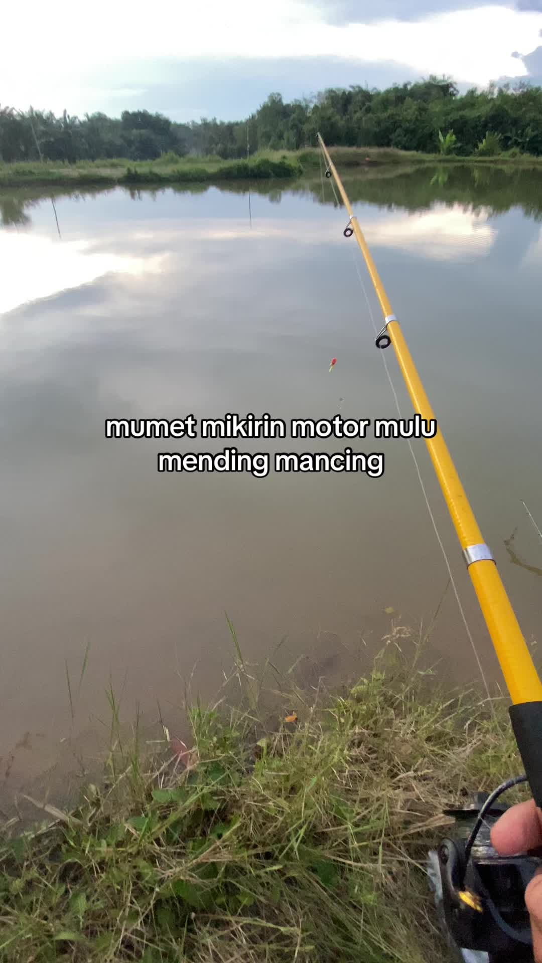 @Senndy