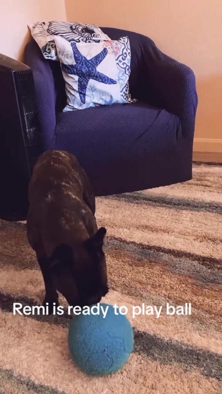 @Laurie’s-remi&delilah