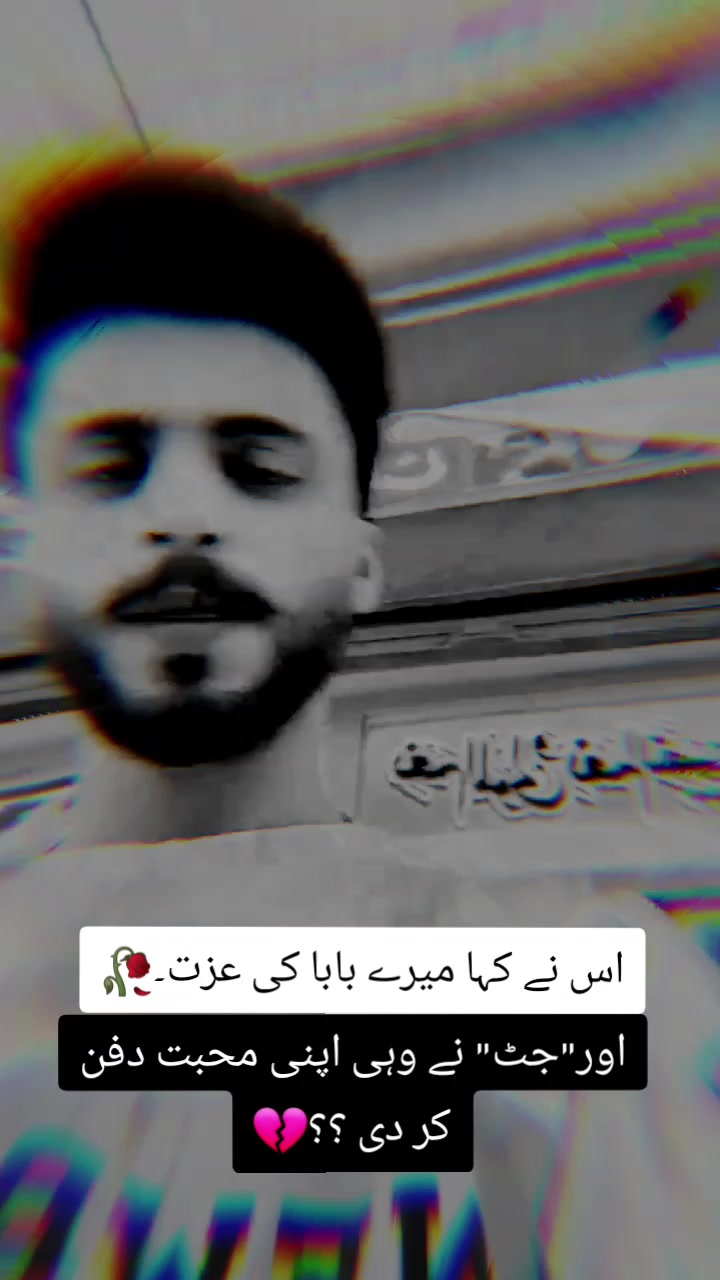 @🕊️🕷️