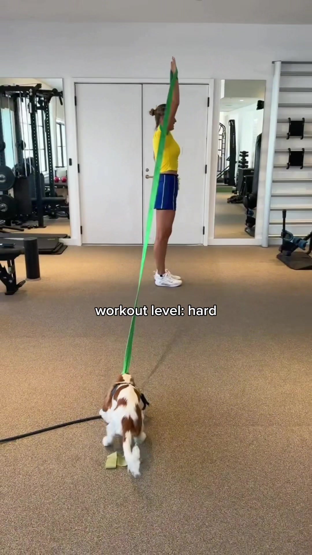 @Aryna Sabalenka