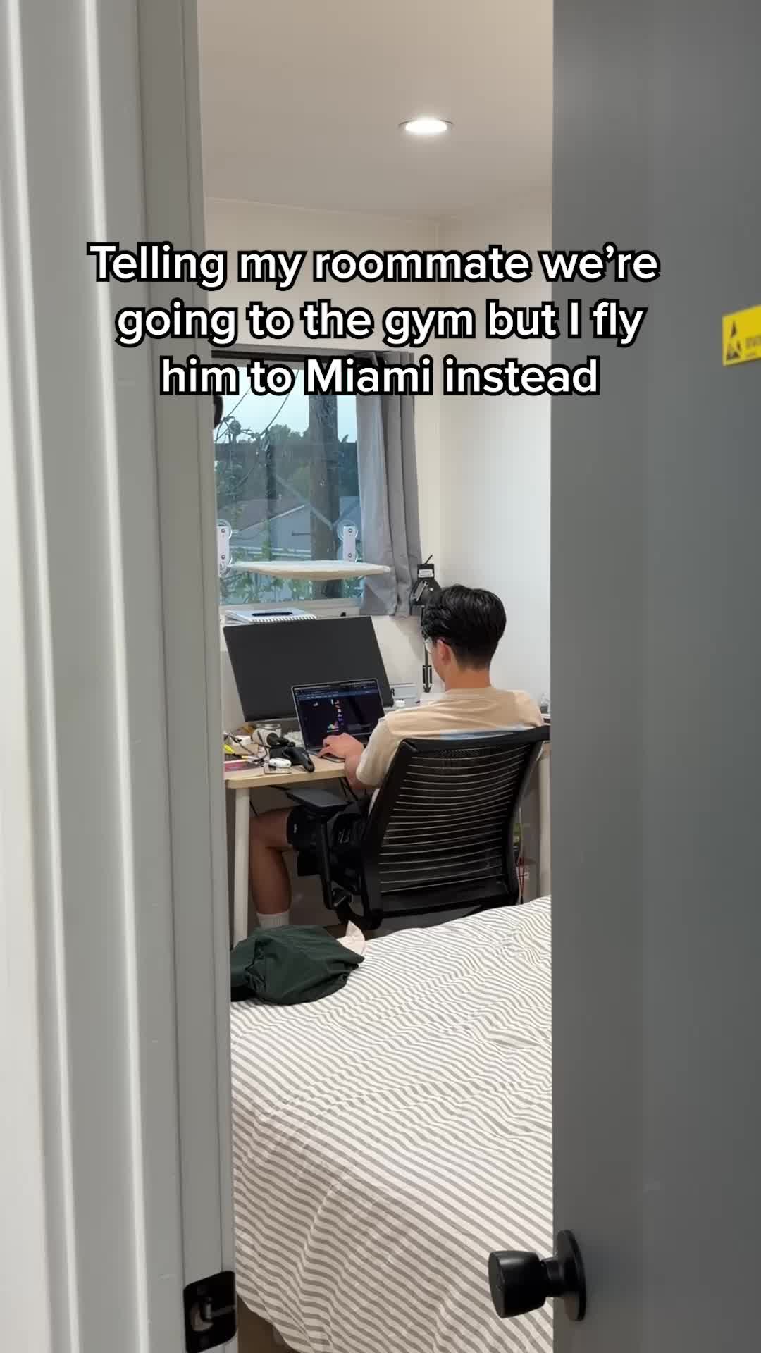 @alyxrlee