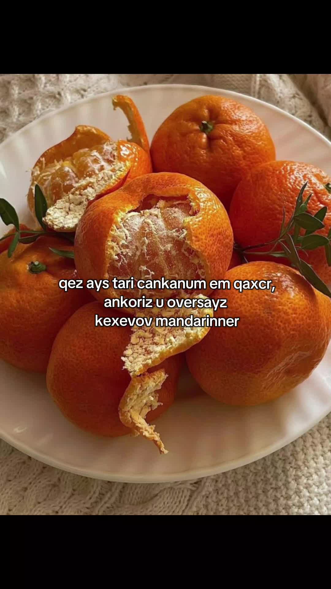 @arg_104