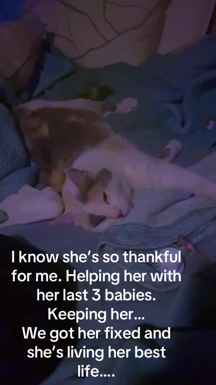 @#momenntswithmaradeth