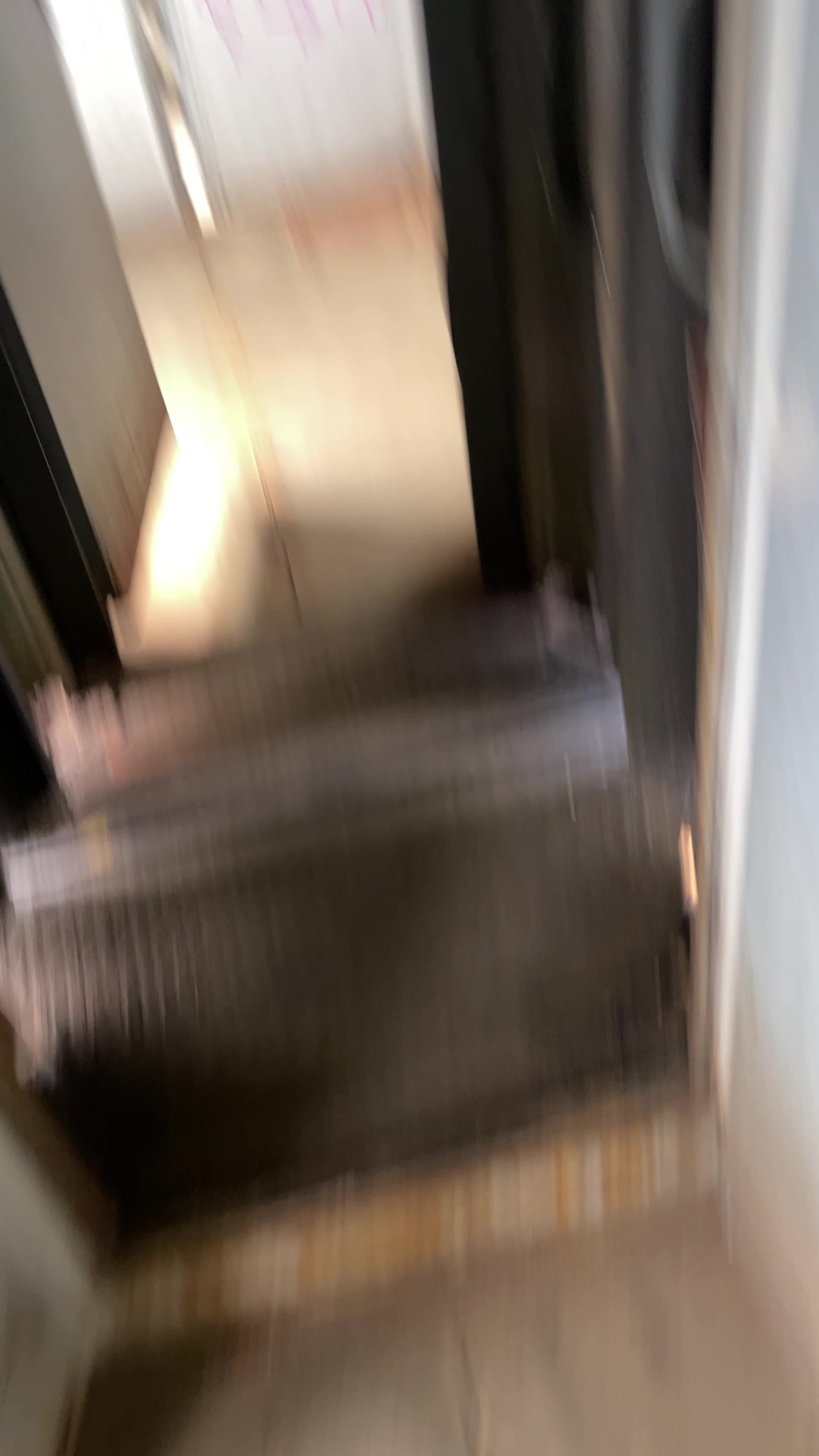 @VOROBEY2019