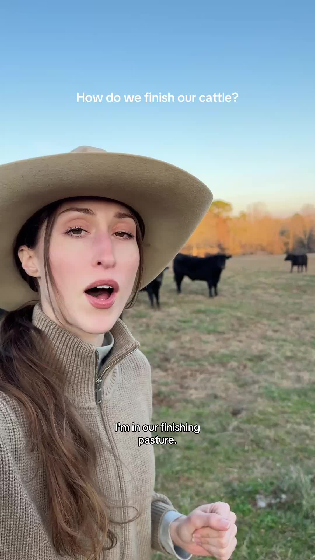@Lily Hill Farm
