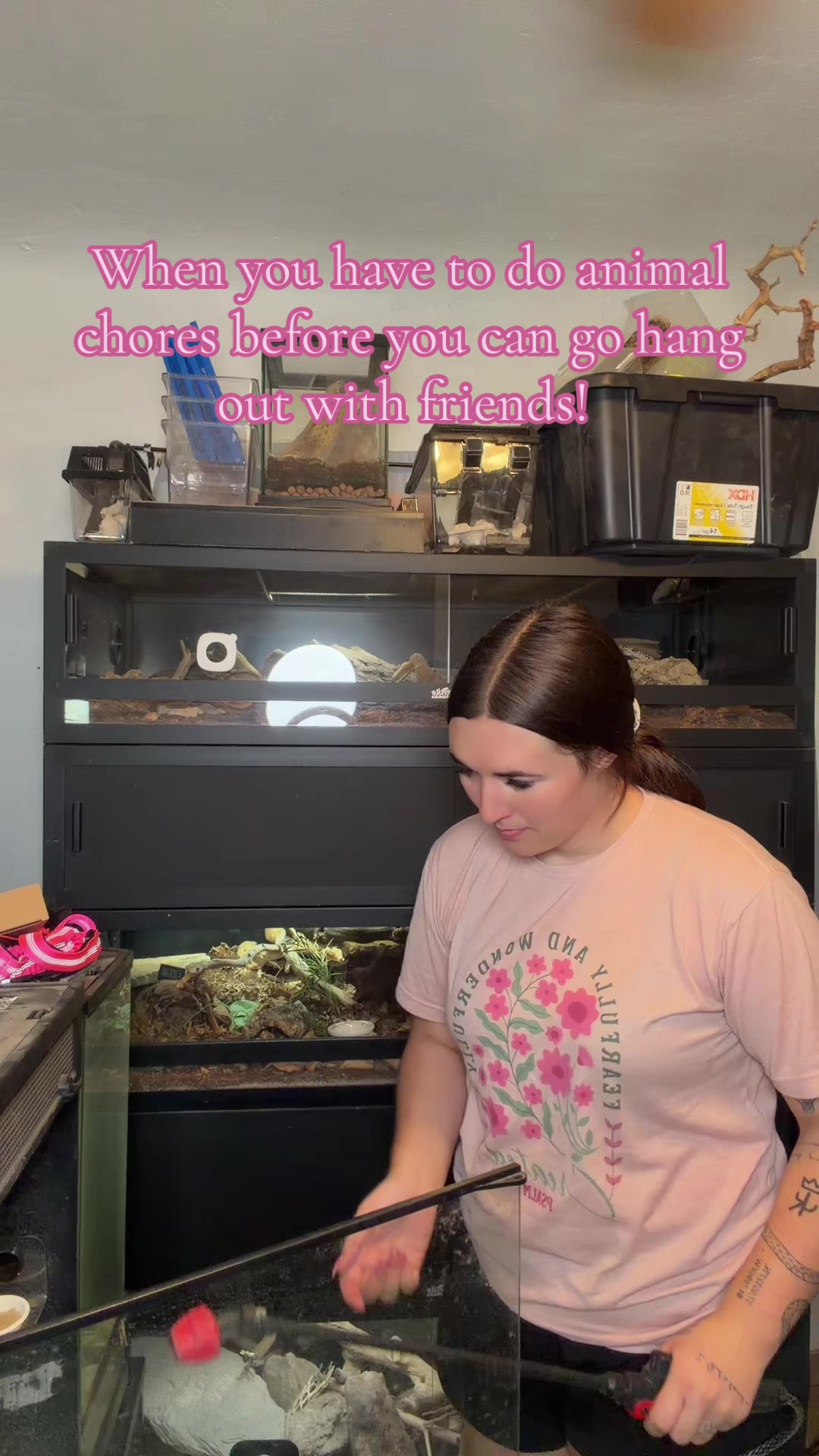 @Katie | my personal zoo 🦎🐰