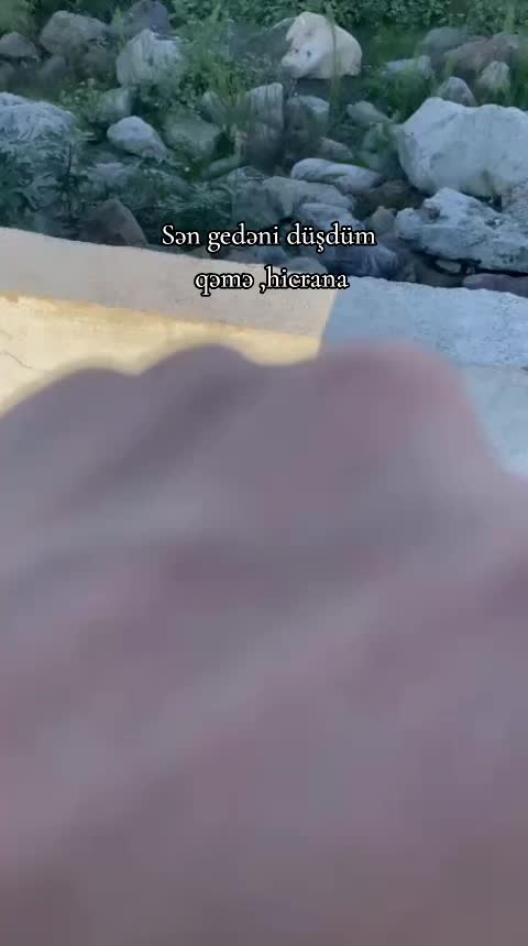 @Taliş