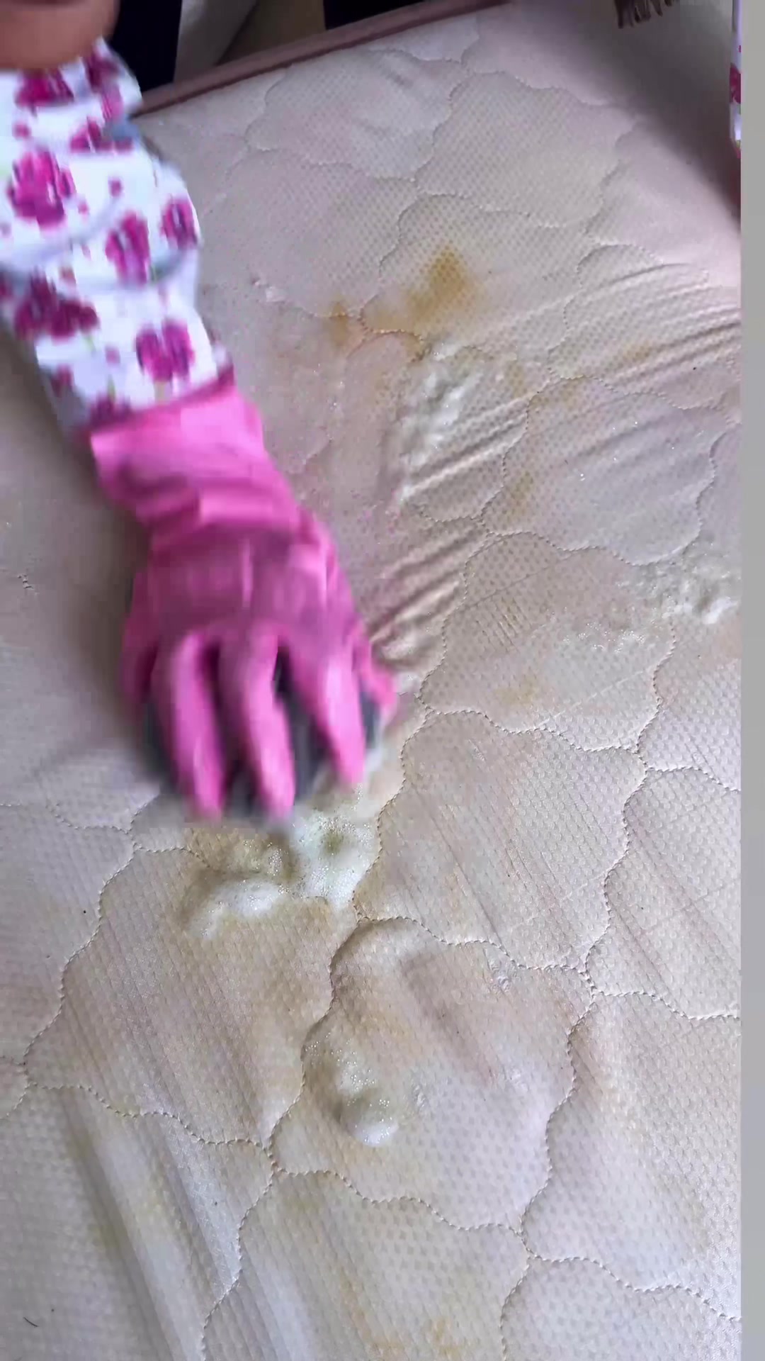 @𝓐𝓷𝓩𝓮𝓡 balı