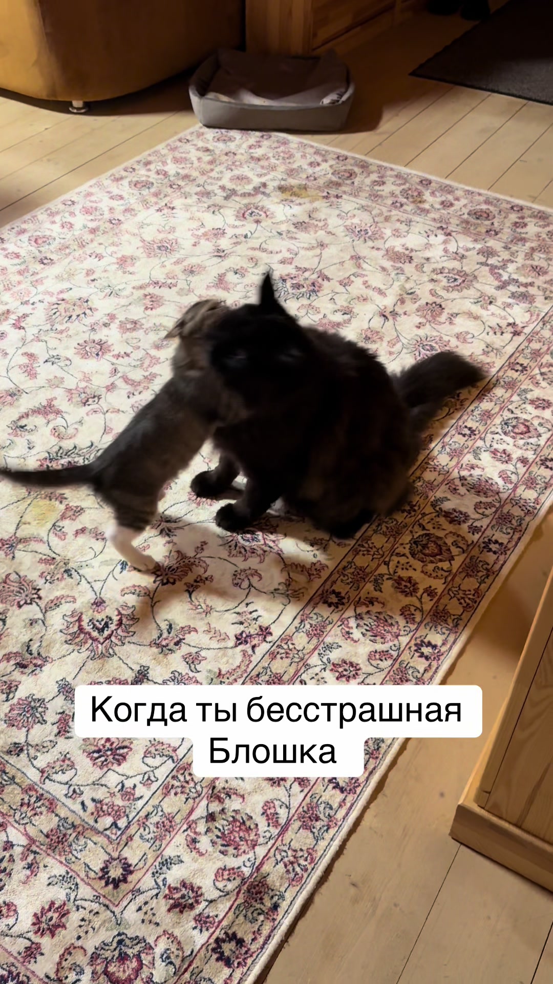@Анна Алмазова