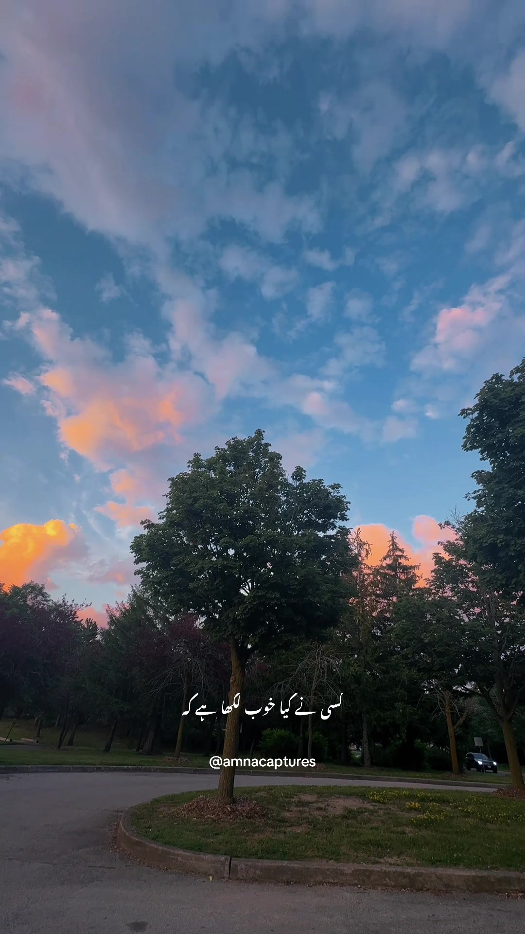 @Nature lover  🇨🇦