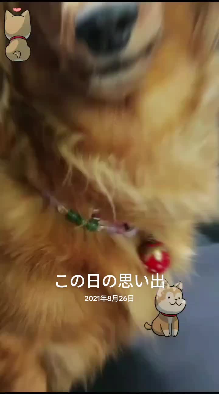 @ラムパパ