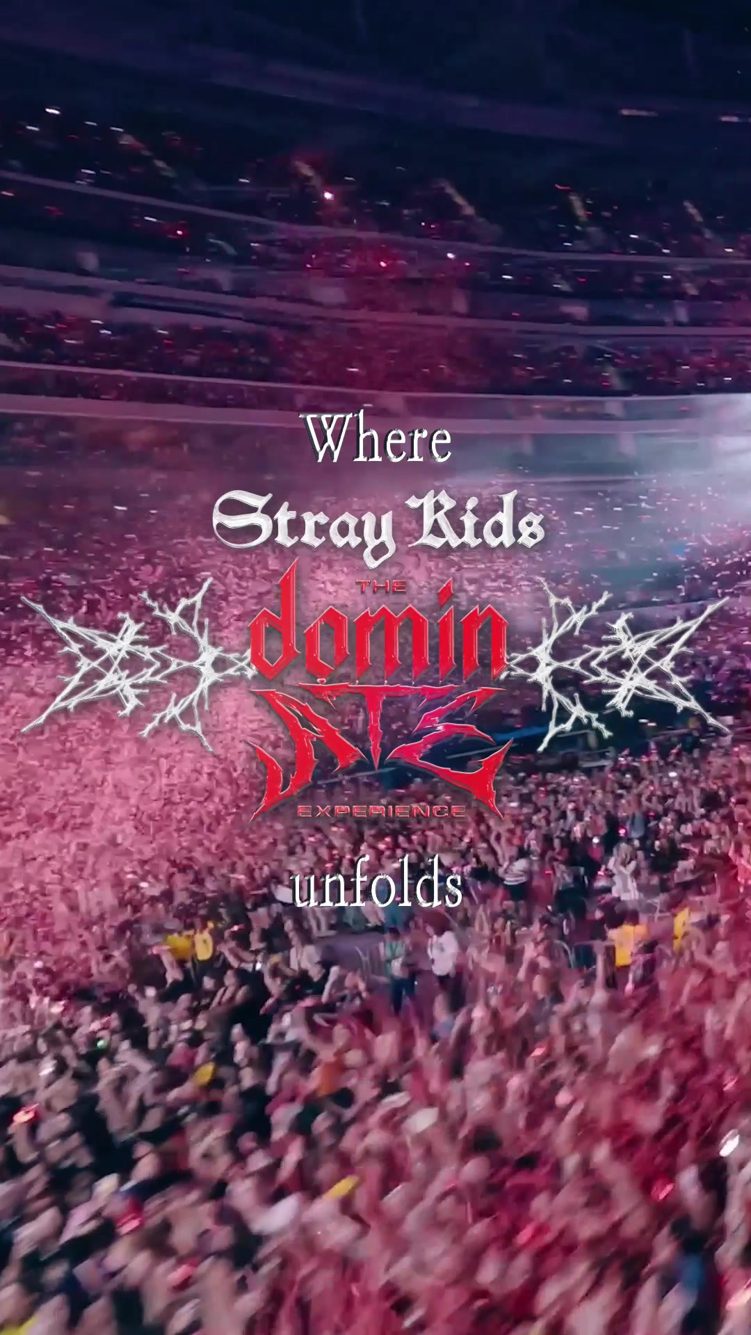 @straykids_japan