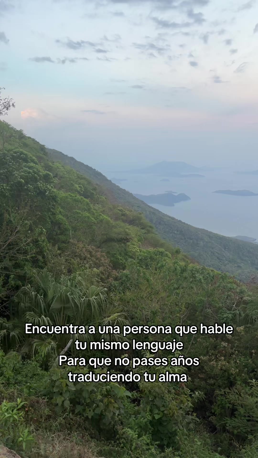@Beba Lu