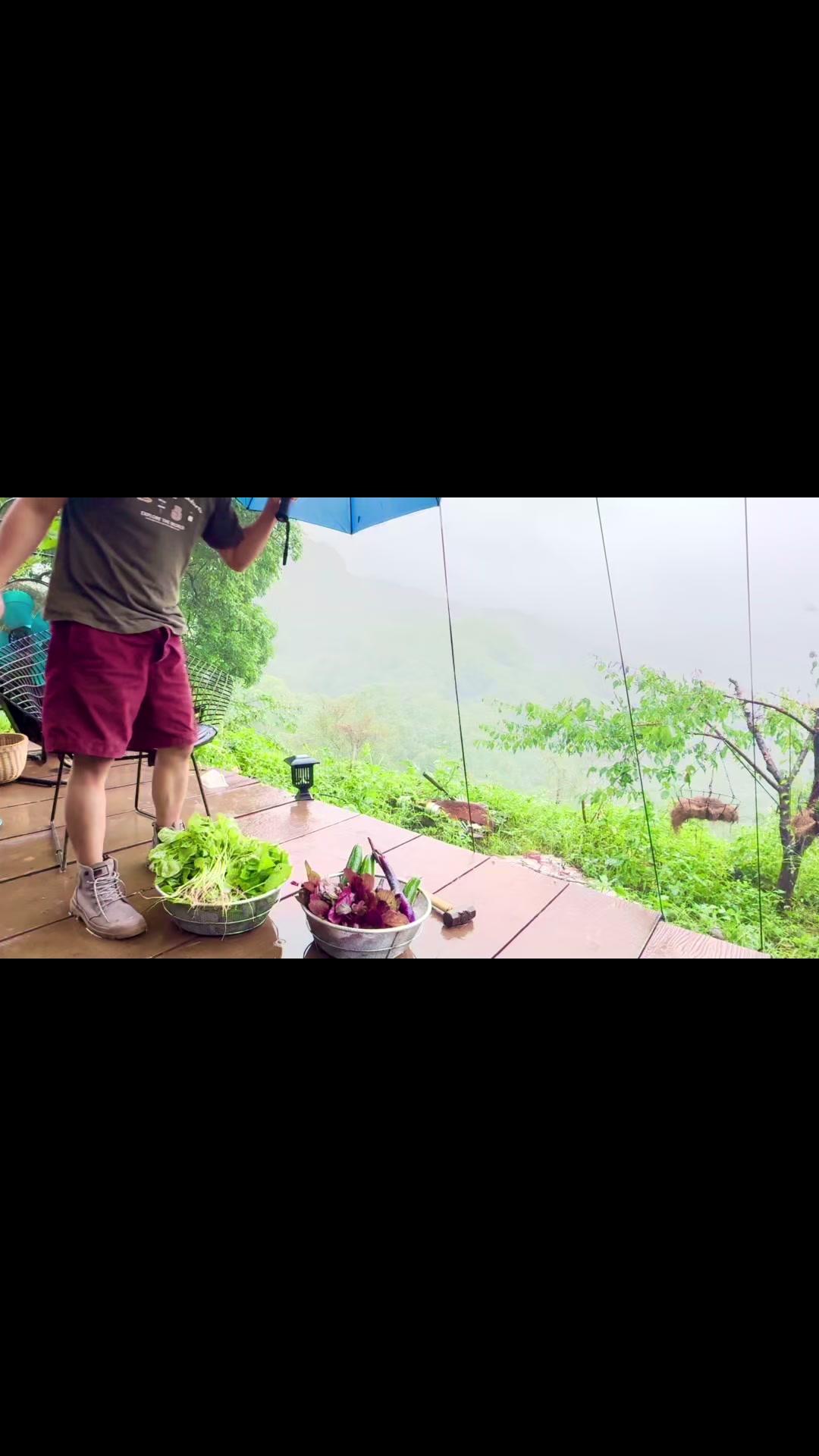@老農與白雪公主的結晶