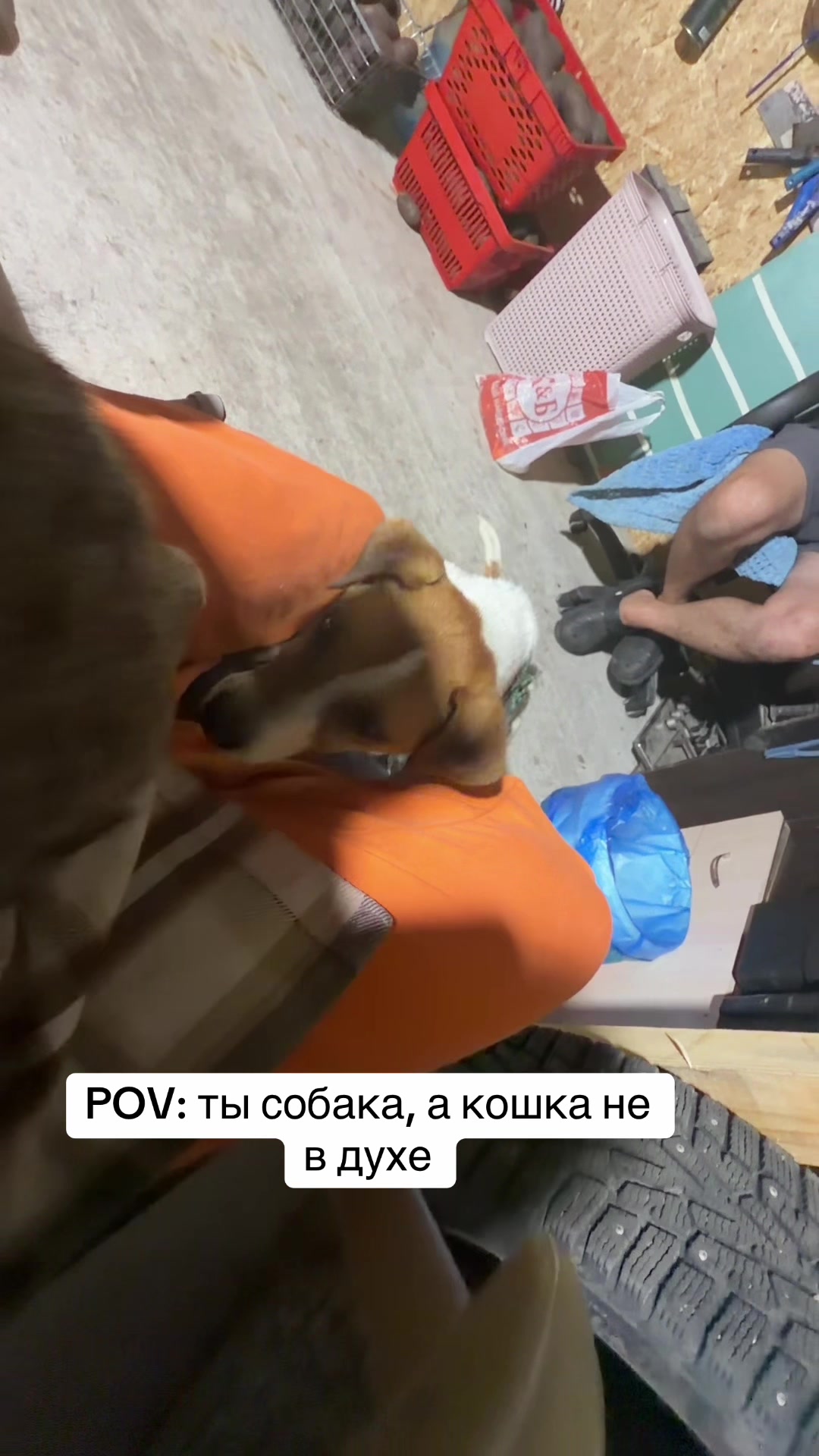 @Регина