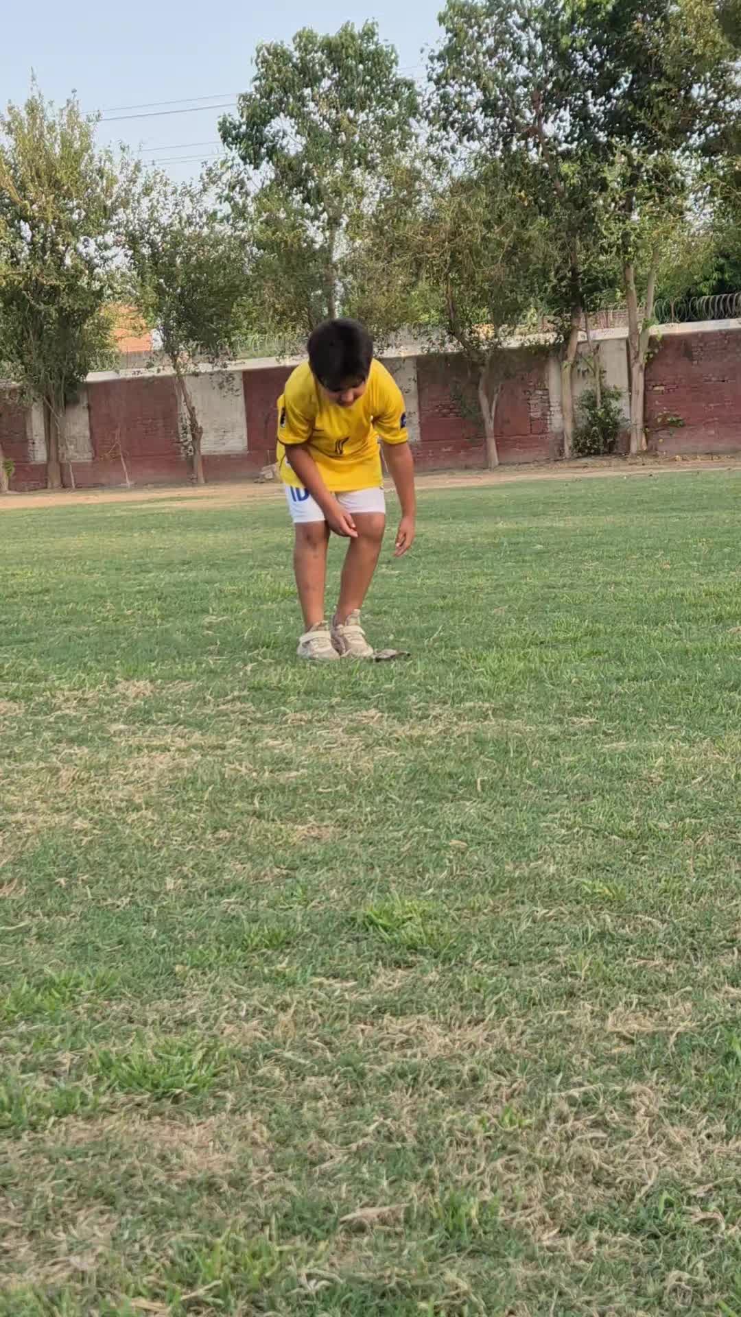 @nikajutt80