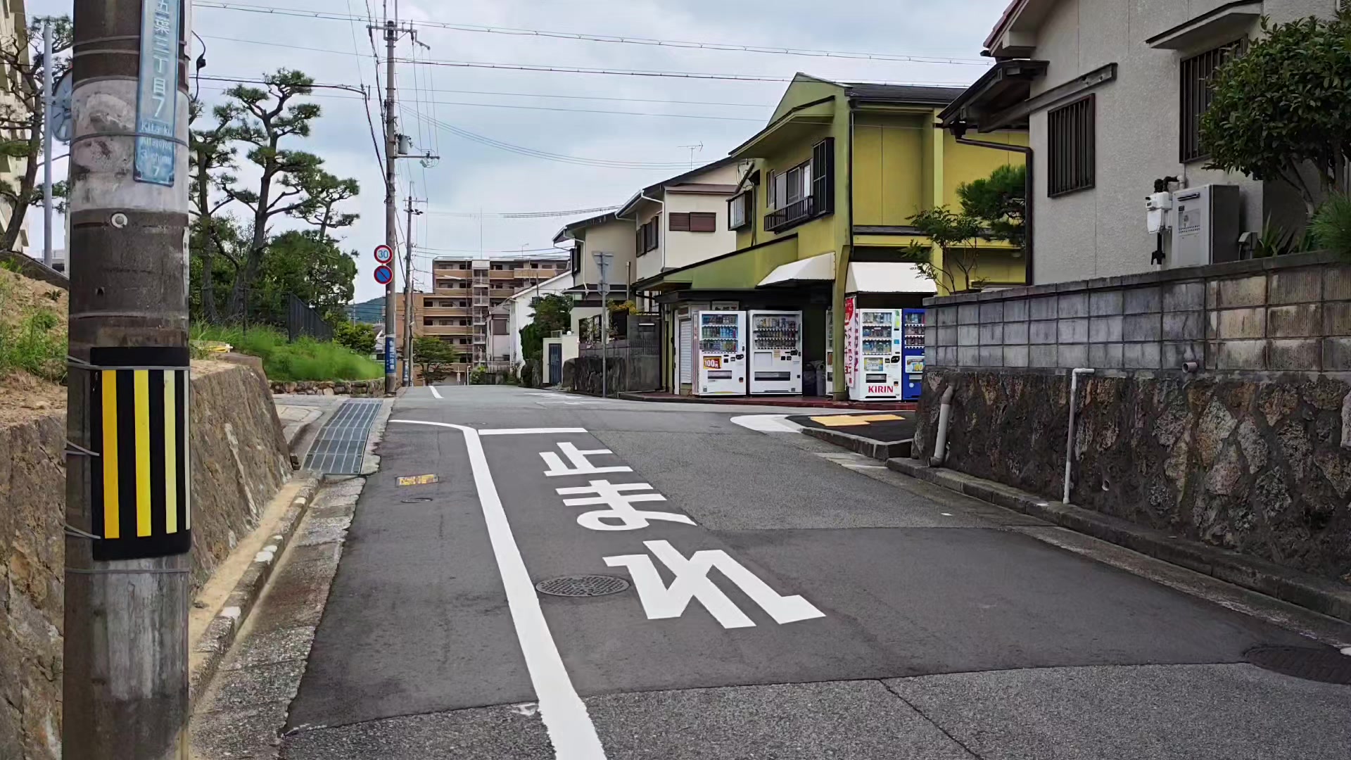 @在神户的弥罗君