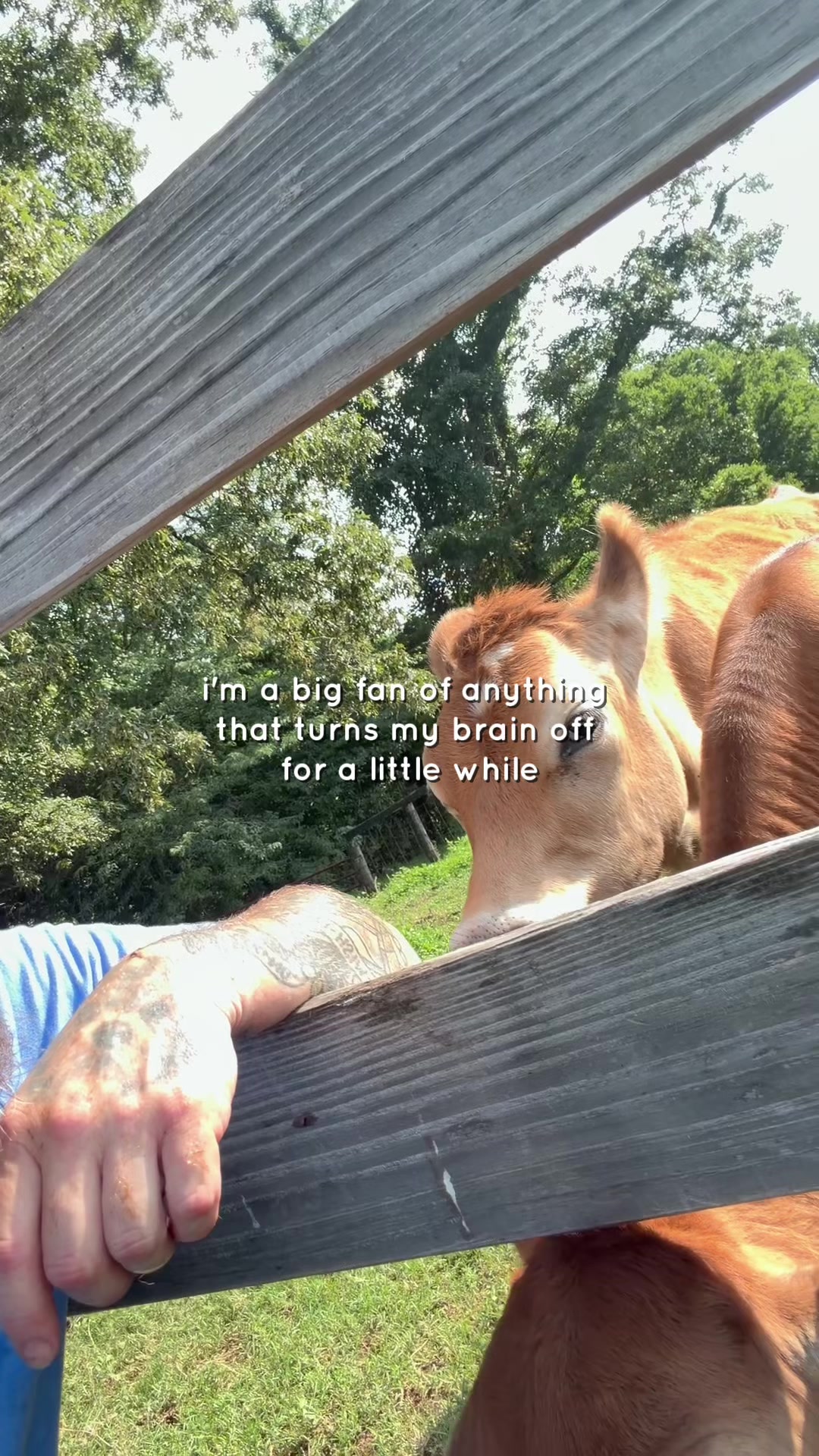 @JT from Tennessee