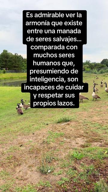 @Aida Kier