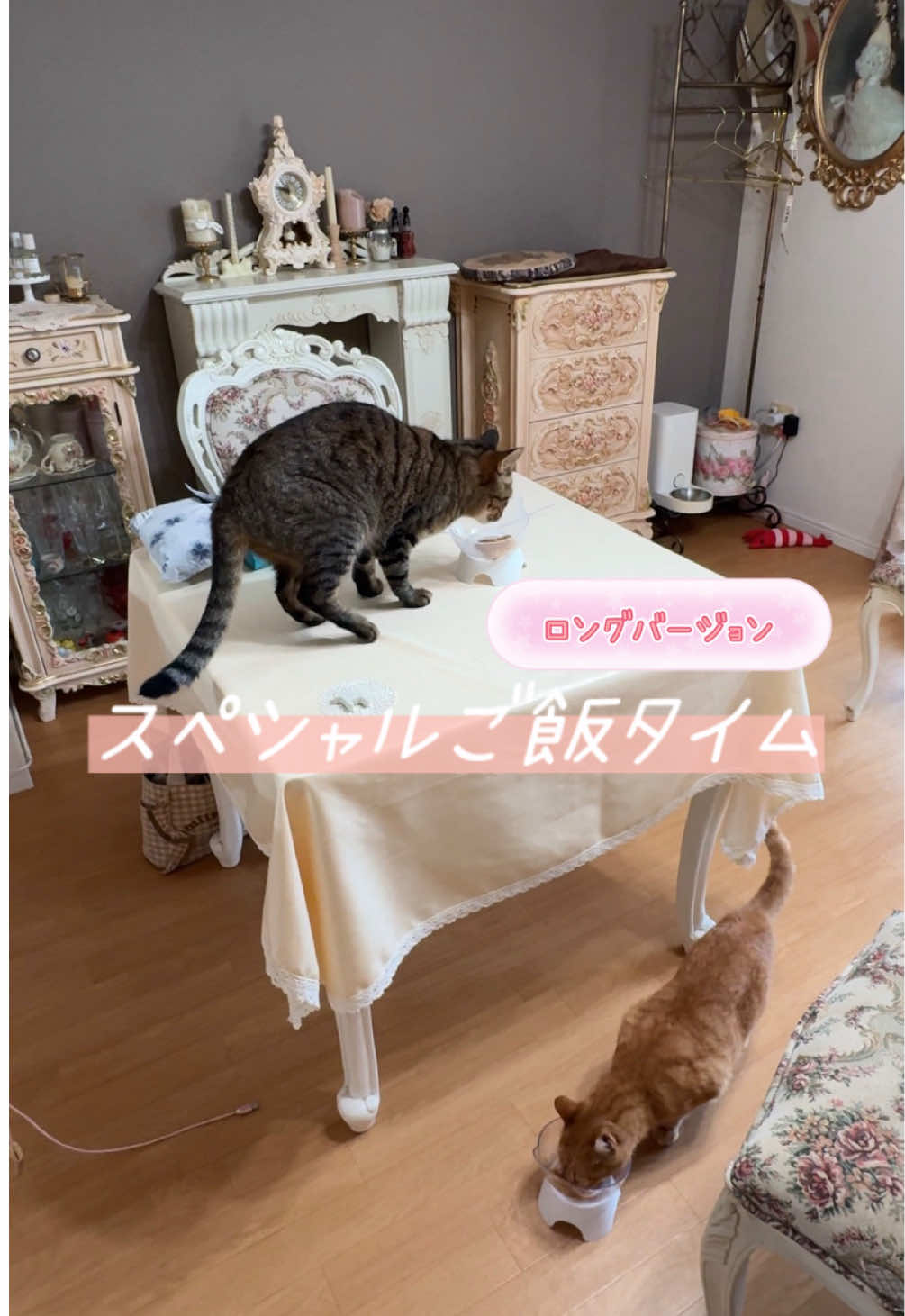 @さっことおちょ