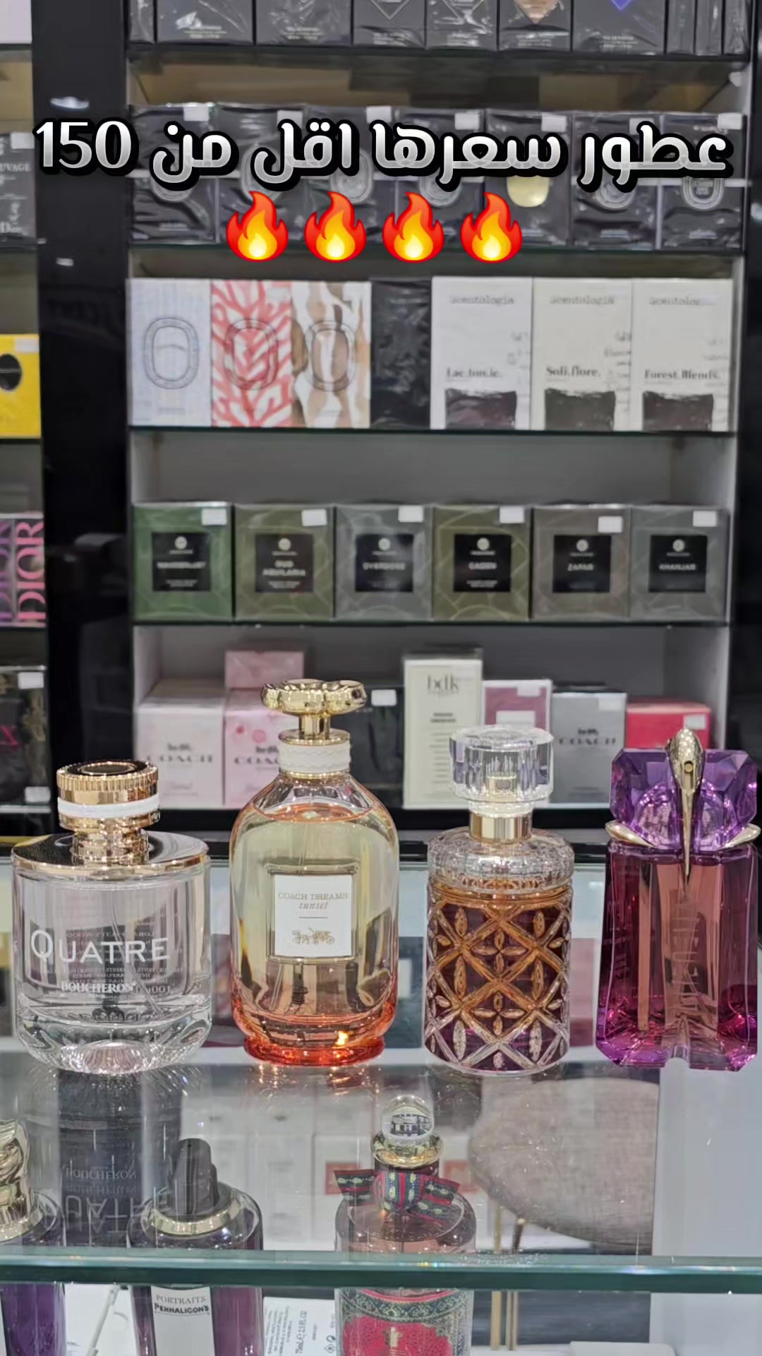 @ماي سنت| my scent 1