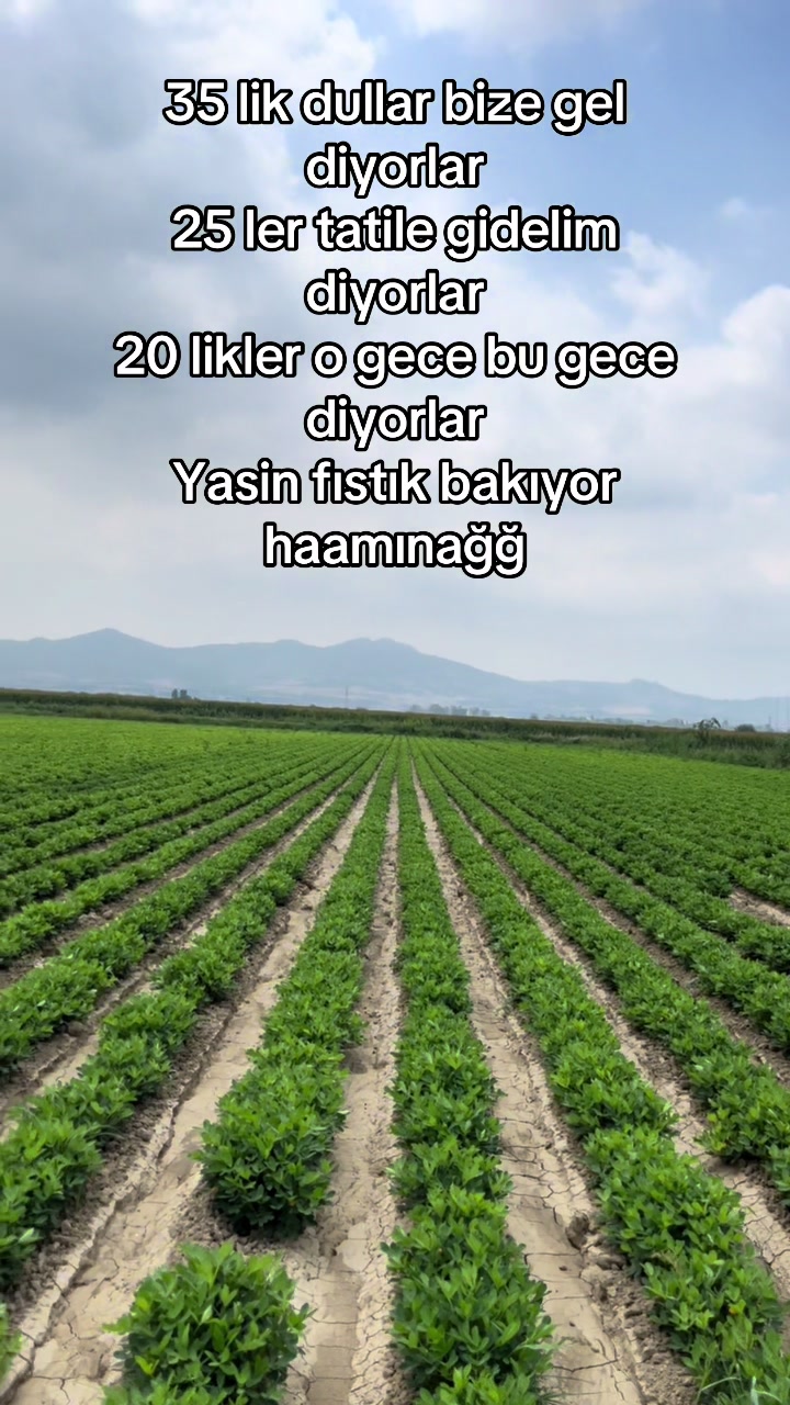@•Y~B•