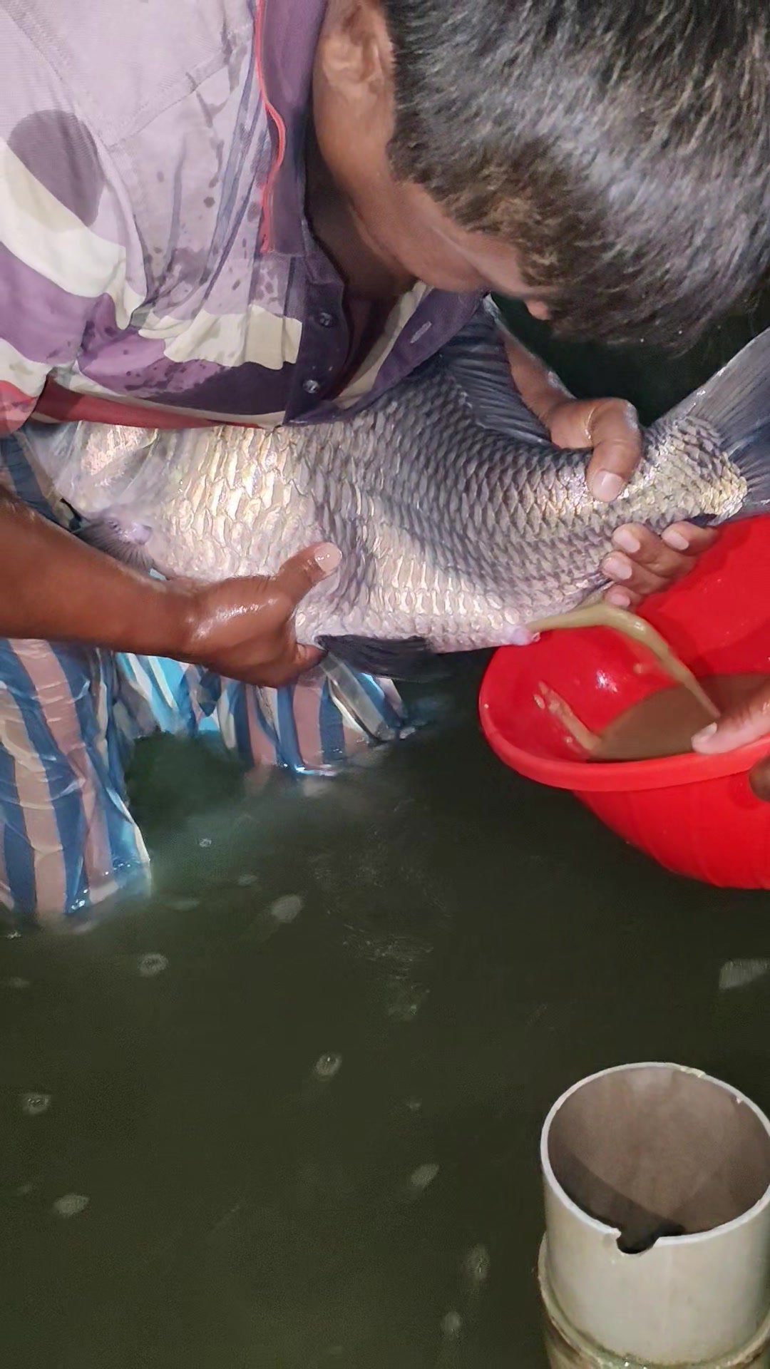 @Fish Lovers Bangladesh