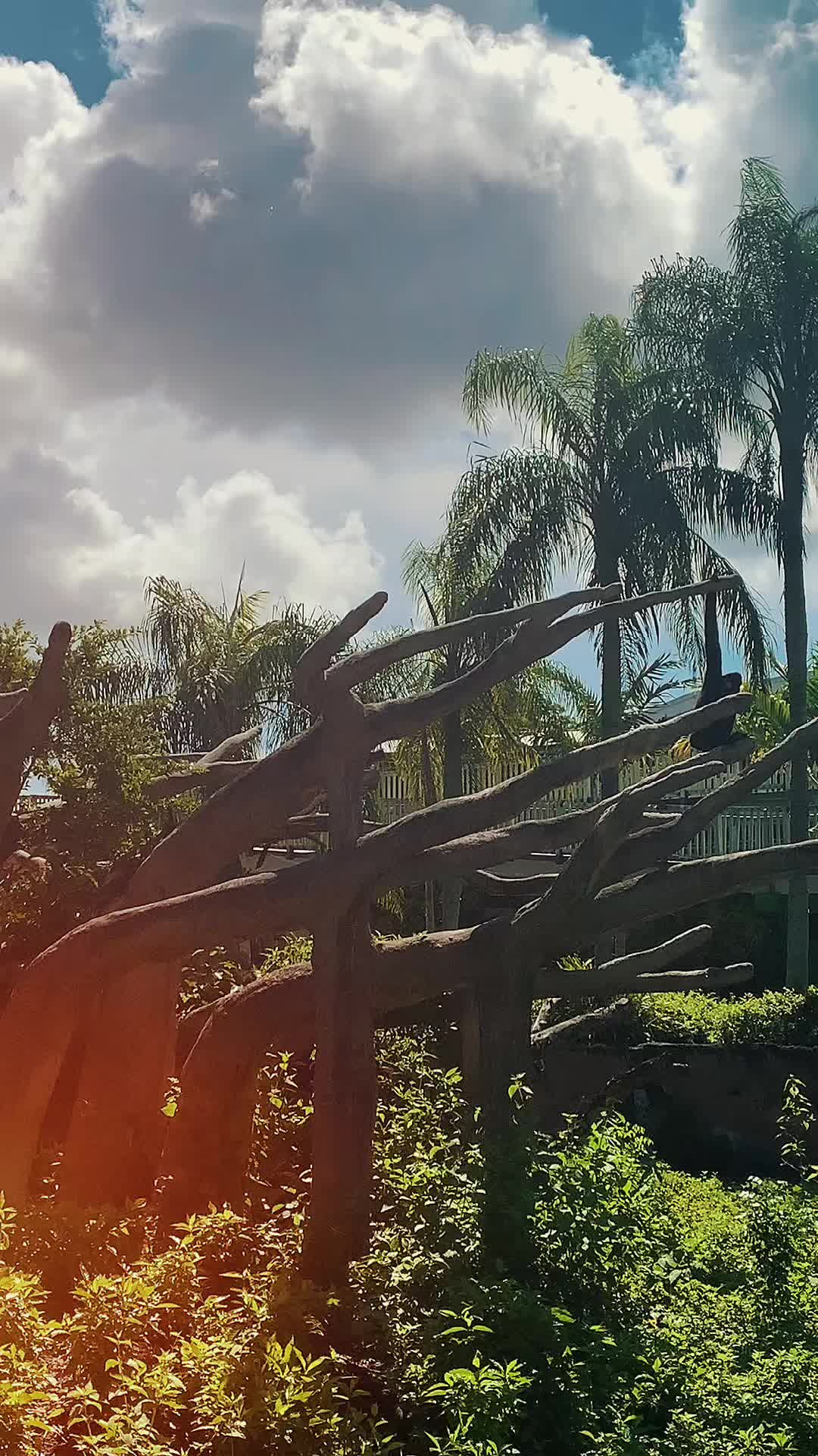 @Karen🩷✨🌴