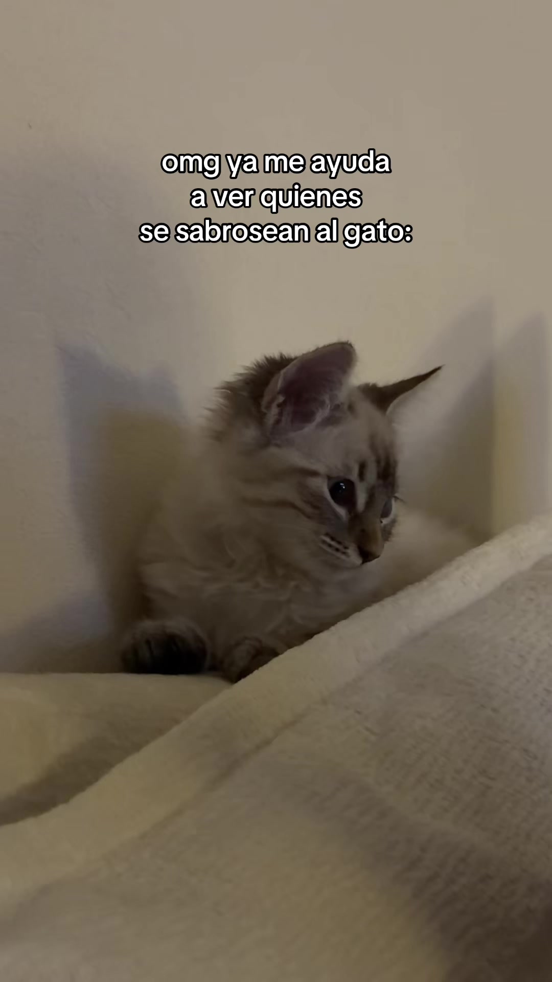 @𝓥 𝓪 𝓷 𝓷 𝓮
