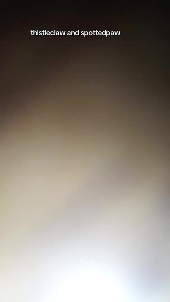 @{.⋅ ✧ ⋅.}ᯓ ᏦᎬՏͲᎡᎬᏞᯓ{.⋅ ✧ ⋅.}