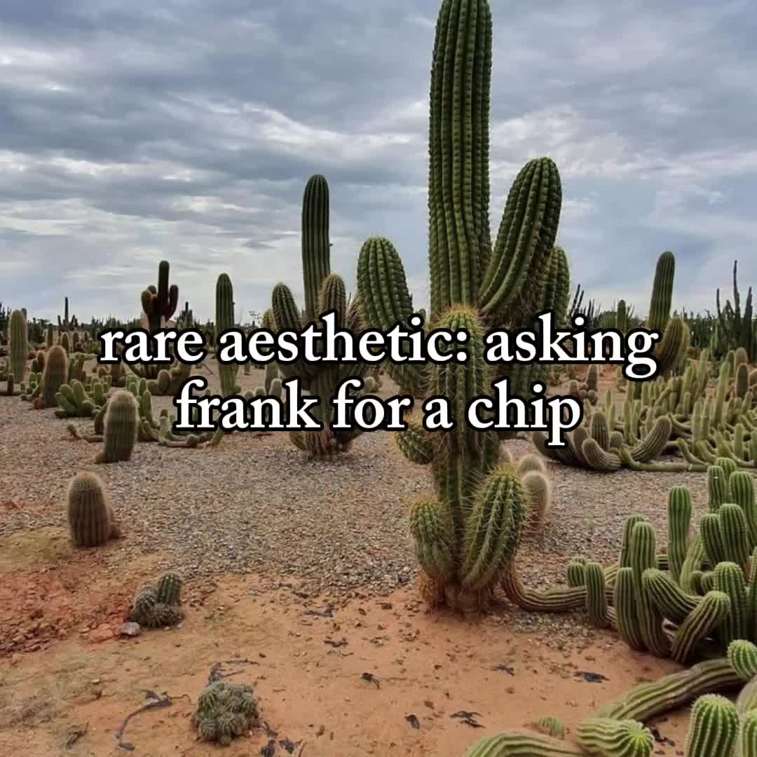 @aimthezombie🧟♀️