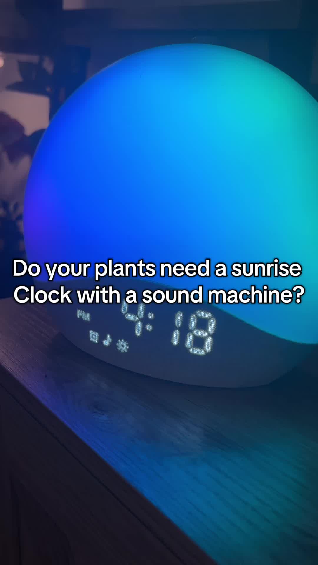 @Planty Grammy